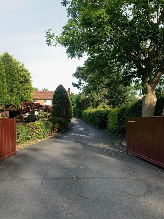 Ashfield Bed & Breakfast Belfast Eksteriør bilde