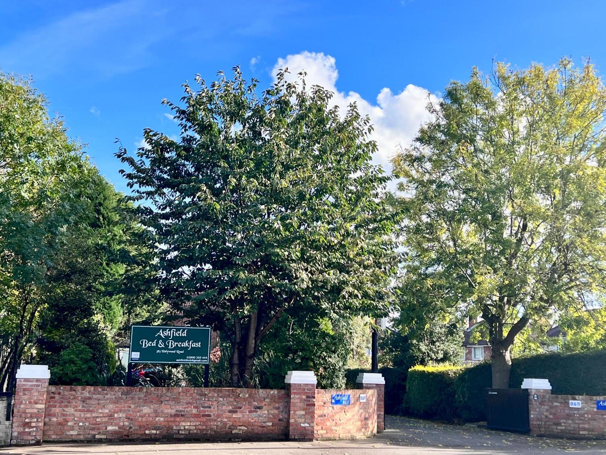 Ashfield Bed & Breakfast Belfast Eksteriør bilde