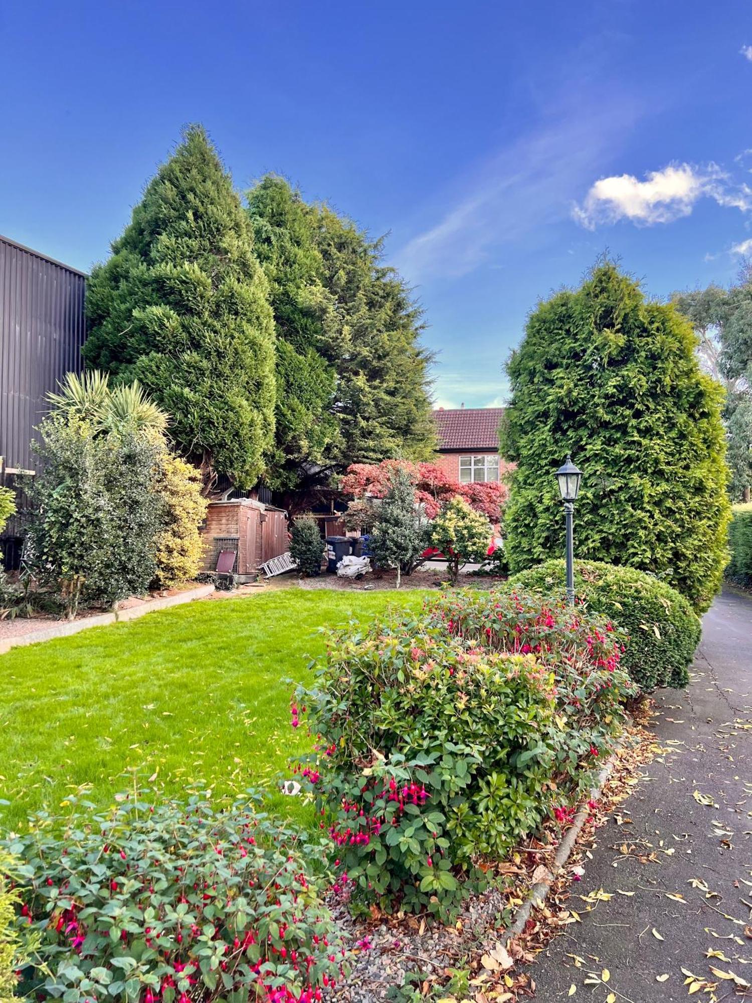 Ashfield Bed & Breakfast Belfast Eksteriør bilde