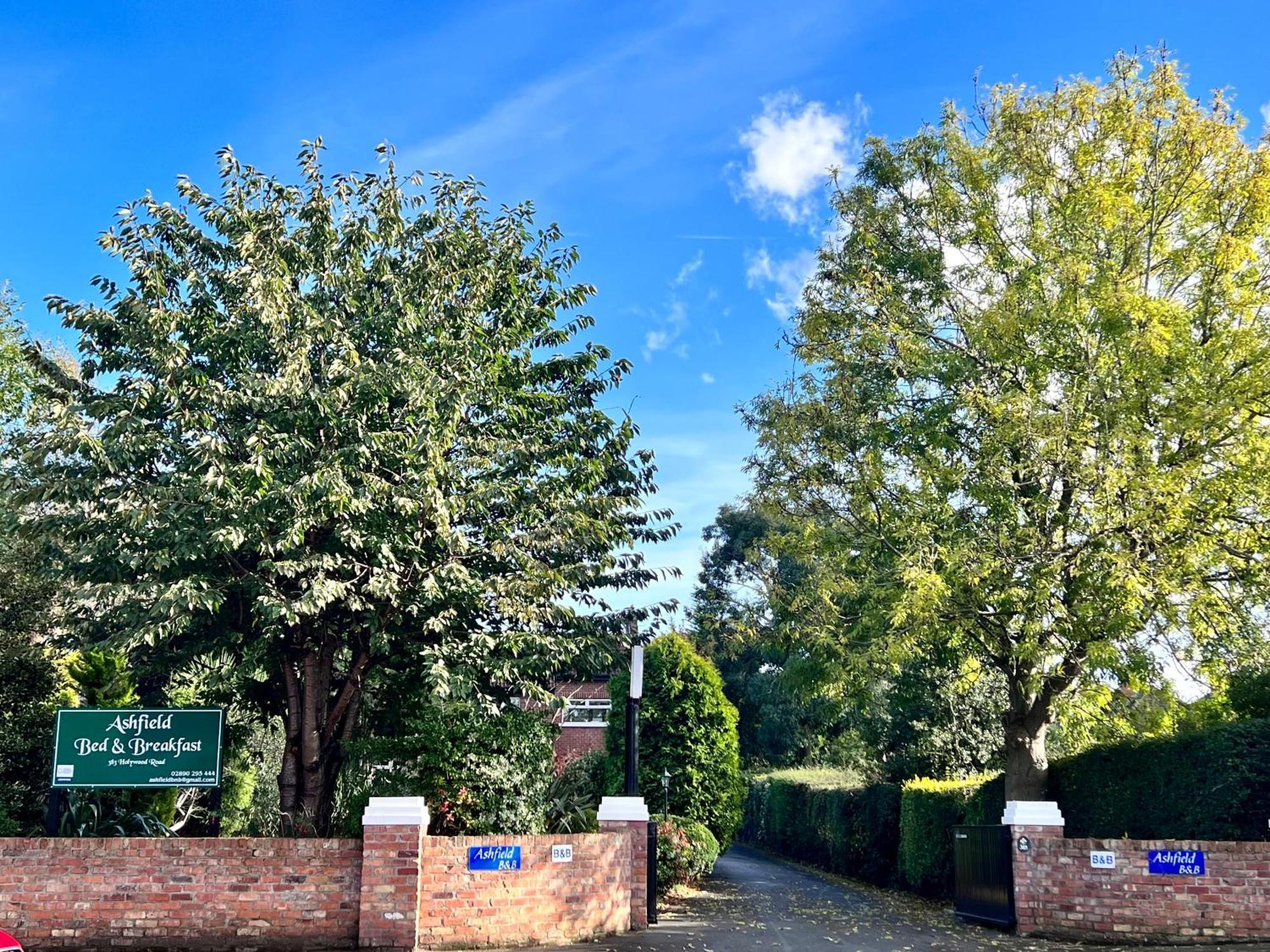 Ashfield Bed & Breakfast Belfast Eksteriør bilde